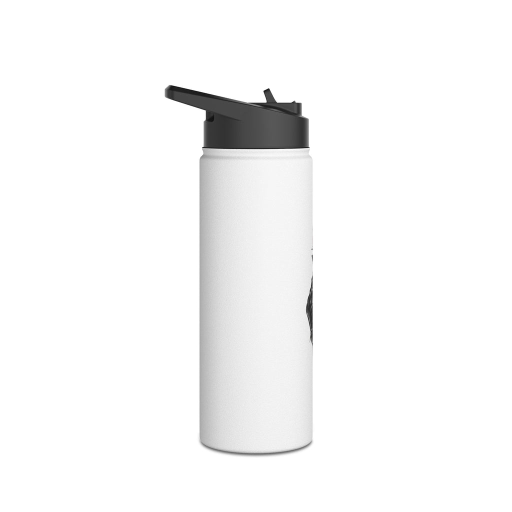 Stainless steel water bottle